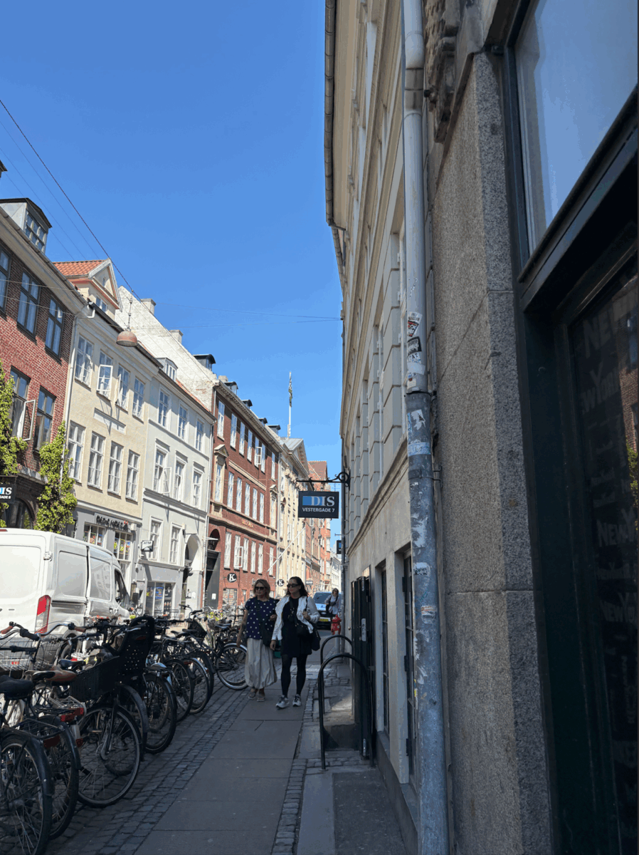 Vestergade street