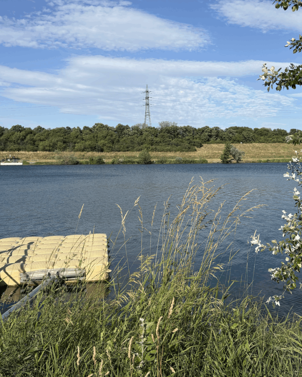 riverbank