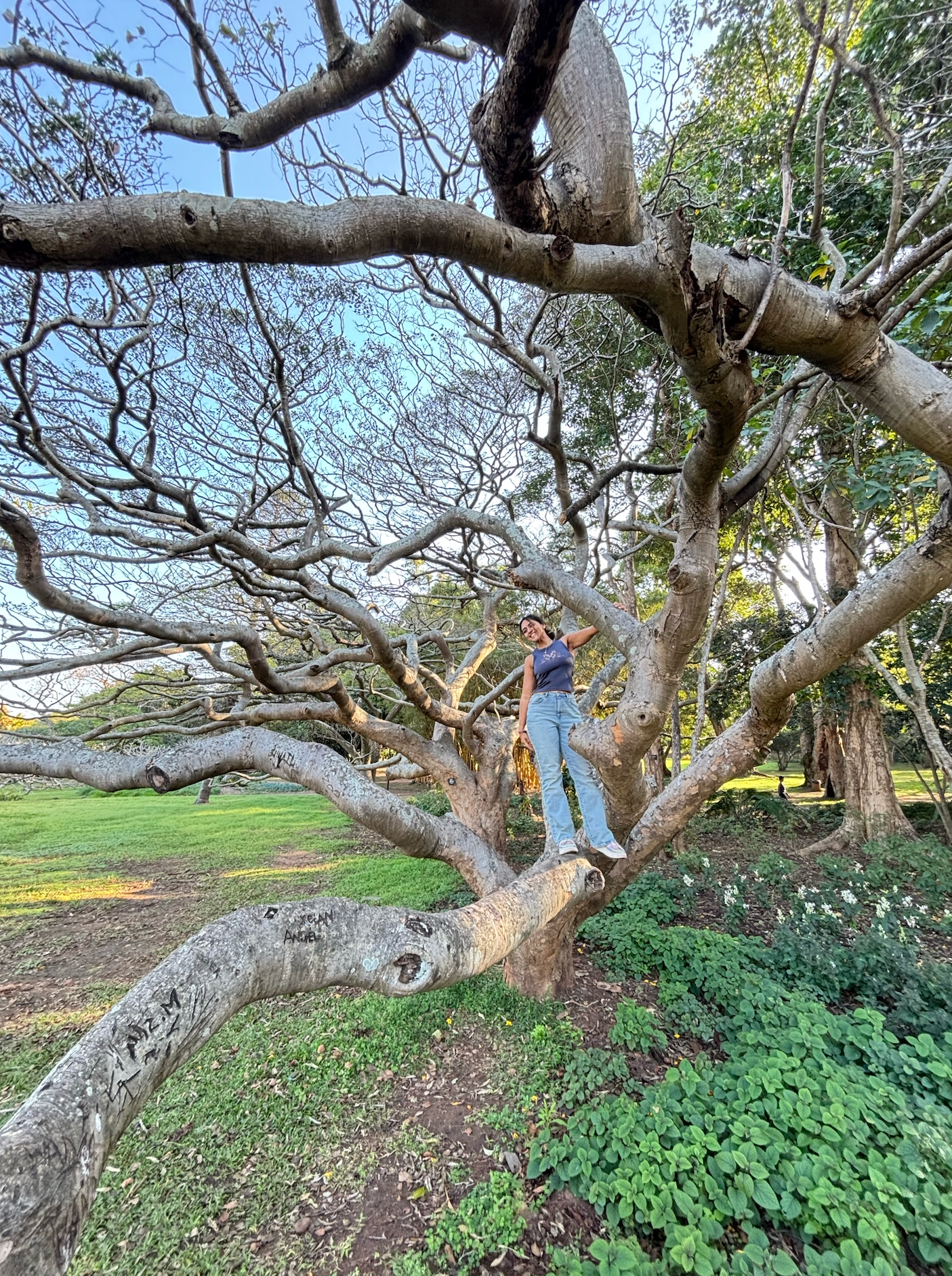botanic garden
