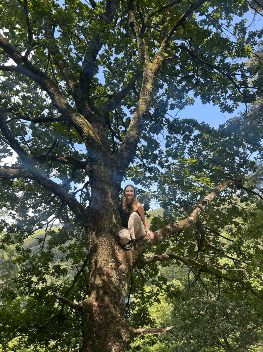 tree