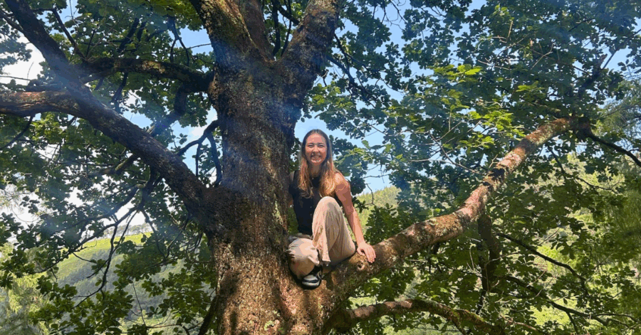 on a tree