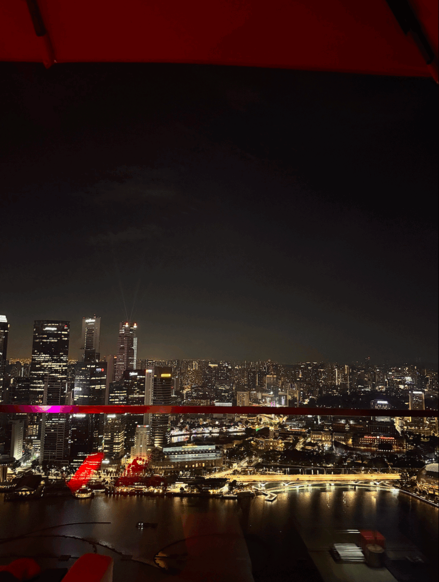 view of Singapore’s skyline