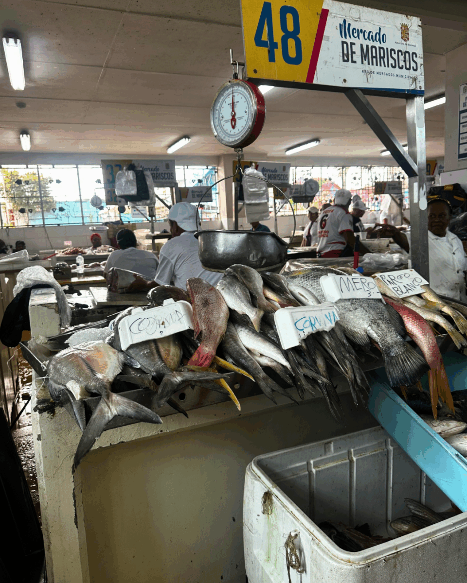 Fish market