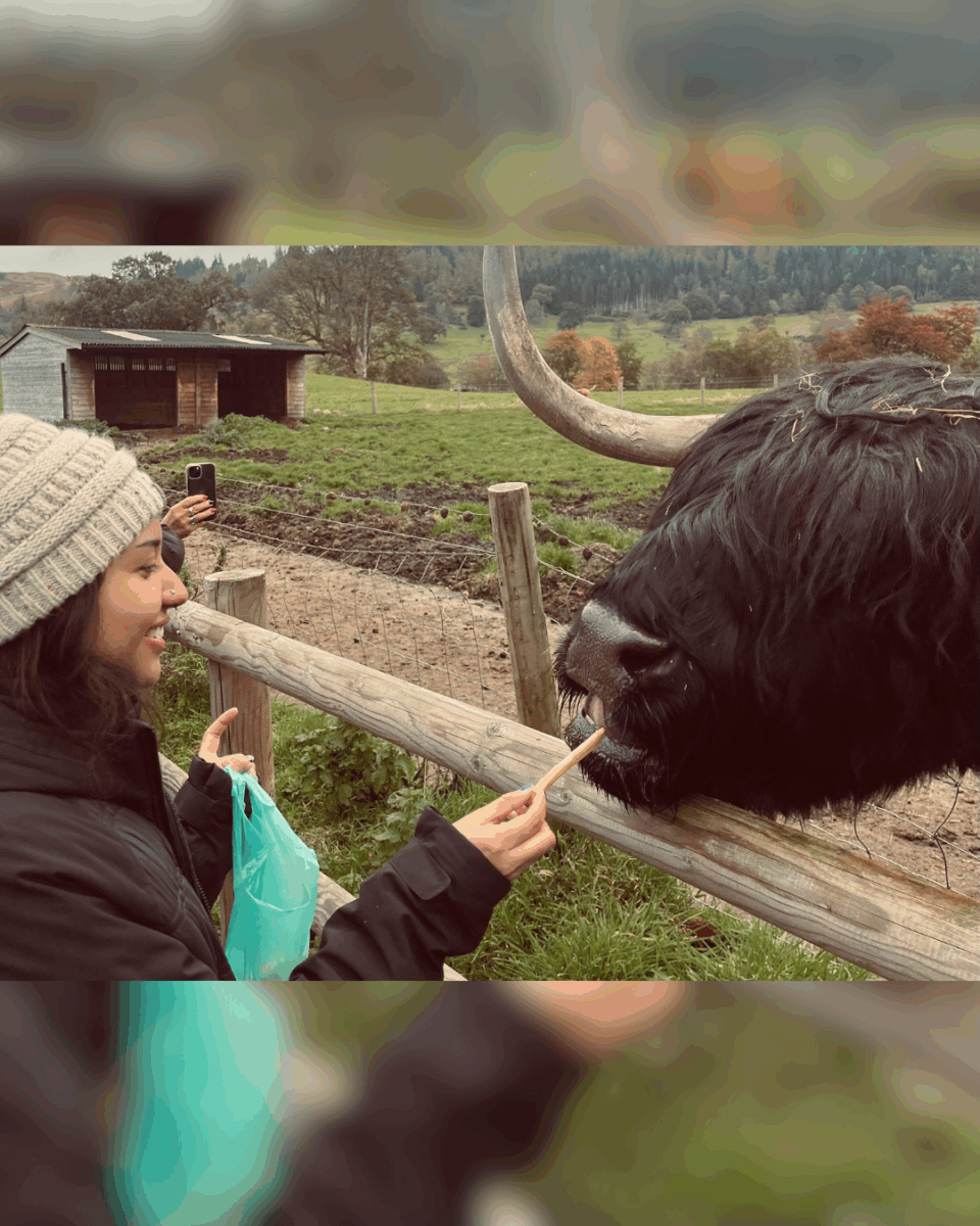 Elizabeth with a cow