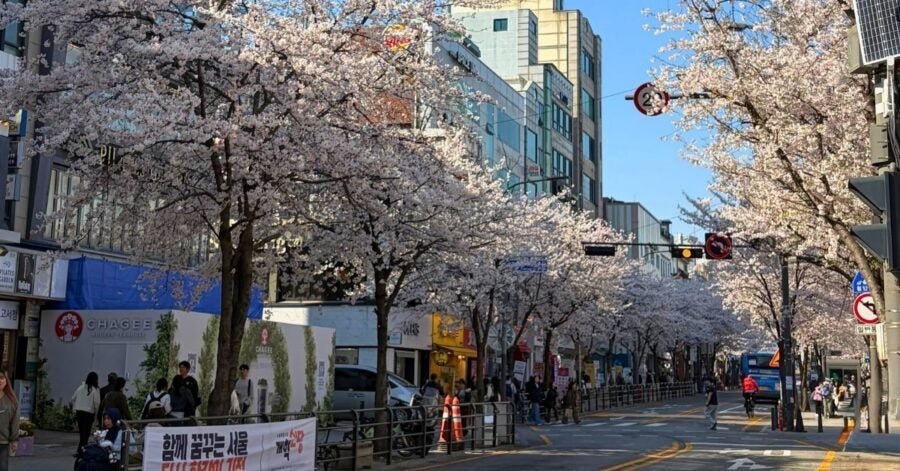 A bustling city street lined with blooming cherry blossom trees on a bright day. People stroll along the sidewalk, creating a lively and cheerful atmosphere.