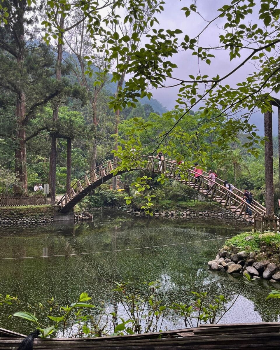 A serene, green landscape with a curved wooden bridge spans a tranquil pond. People walk across, surrounded by lush foliage and tall trees.