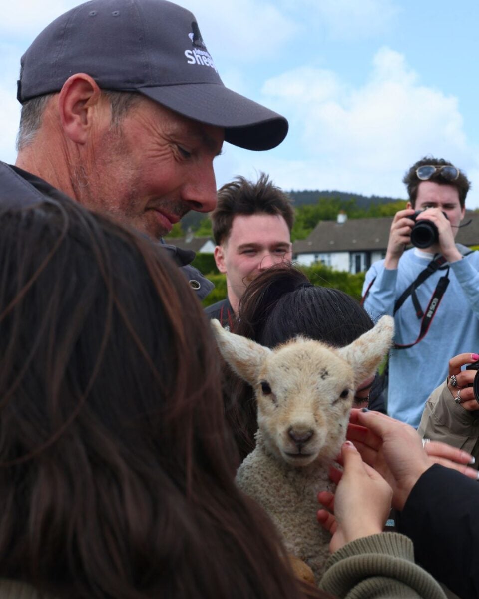 People gathered around a lamb being petted outdoors.