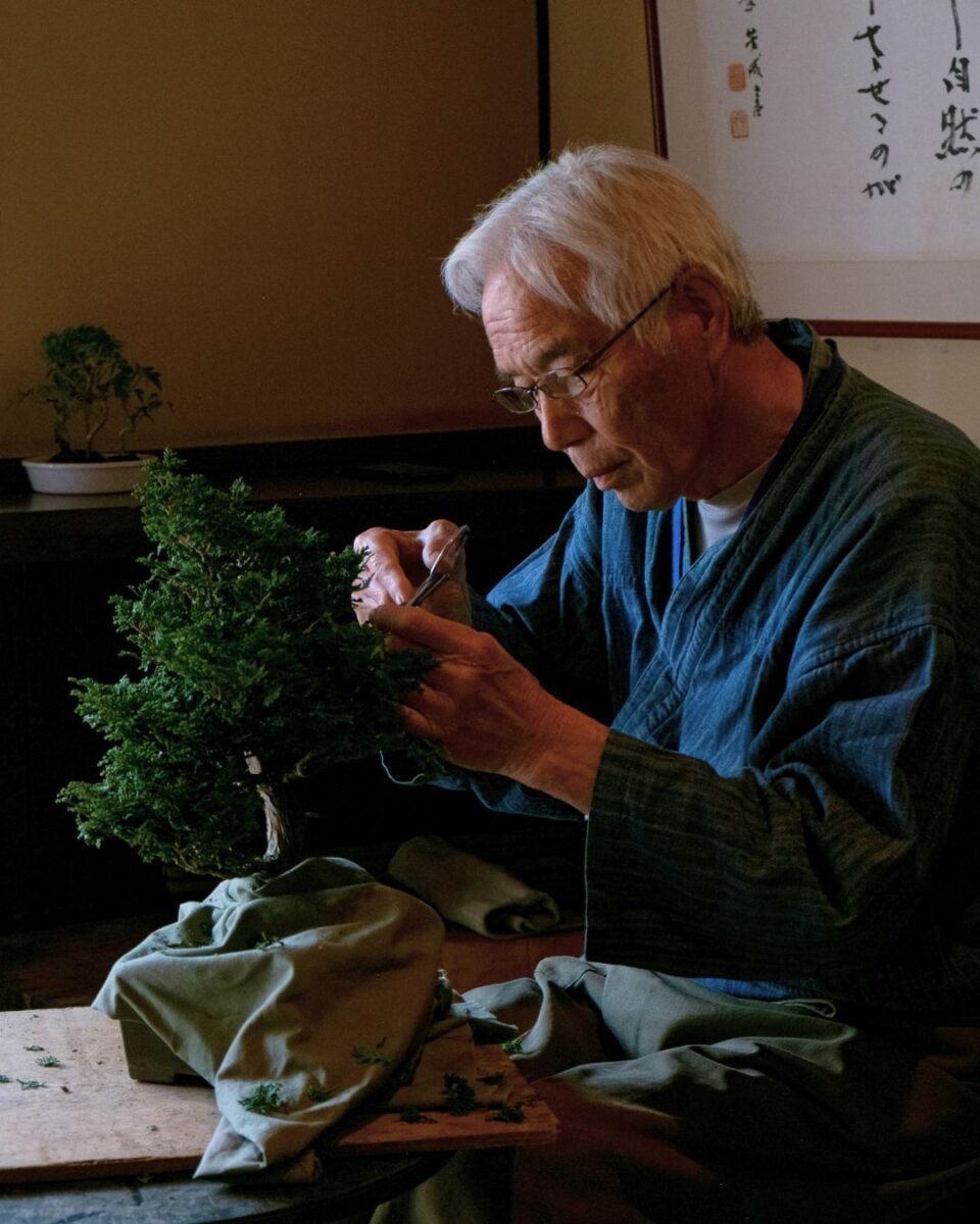 An elderly man carefully tends to a small bonsai tree, wearing traditional clothing. His focused expression reflects the calm and dedication of the scene.