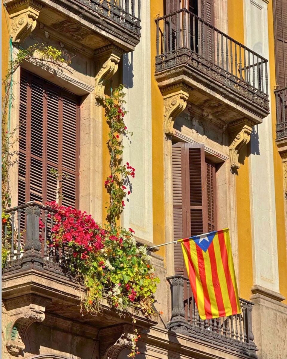 Balcony with vibrant red flowers and a Catalan flag hanging on a sunny yellow and beige building facade.