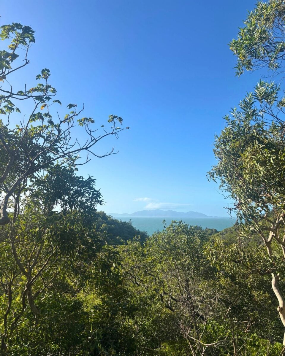 View of a green landscape with dense trees, a body of water, and distant mountains under a blue sky.