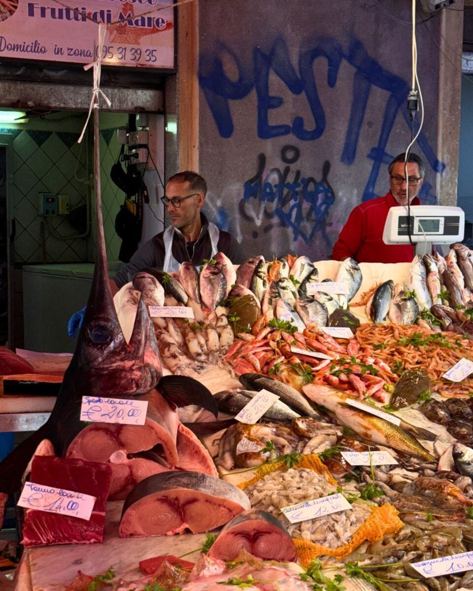 Vibrant seafood market display with various fish and seafood, showcasing fresh catches and prices, bustling atmosphere.