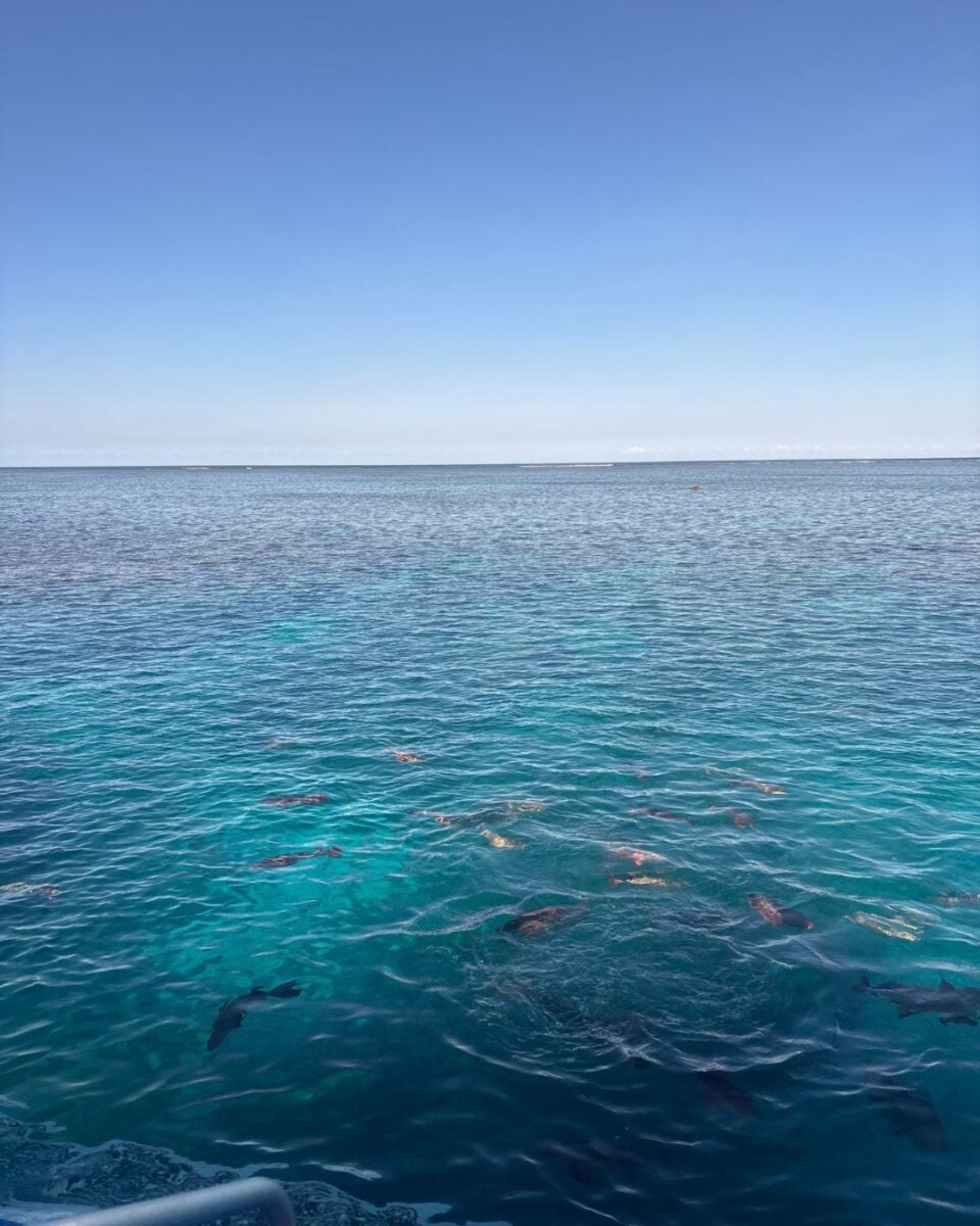 Calm ocean waters under a clear blue sky stretching to the horizon on a sunny day.
