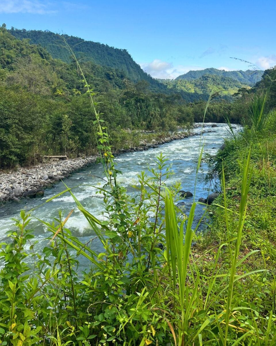 Clear river flowing through lush green vegetation with forested hills under a bright blue sky.