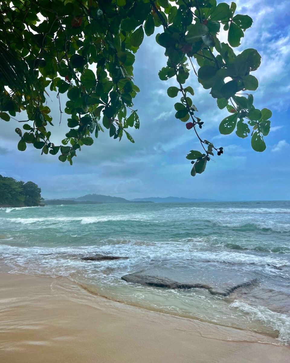 Green leafy branches frame a sandy beach with gentle waves under a partly cloudy blue sky.