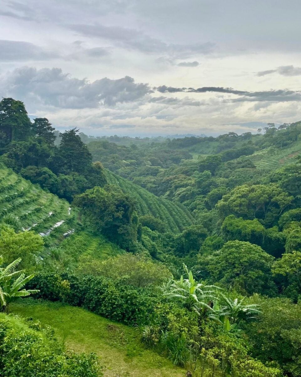 Lush green hills covered with dense tropical forest and cultivated terraces under a cloudy sky.