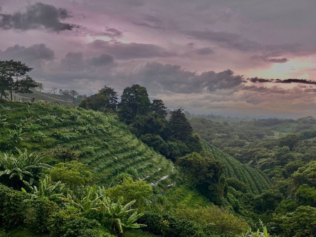 Lush green hills covered with dense tropical forest and cultivated terraces under a cloudy sky.