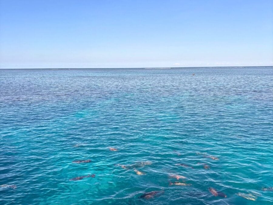 Calm ocean waters under a clear blue sky stretching to the horizon on a sunny day.