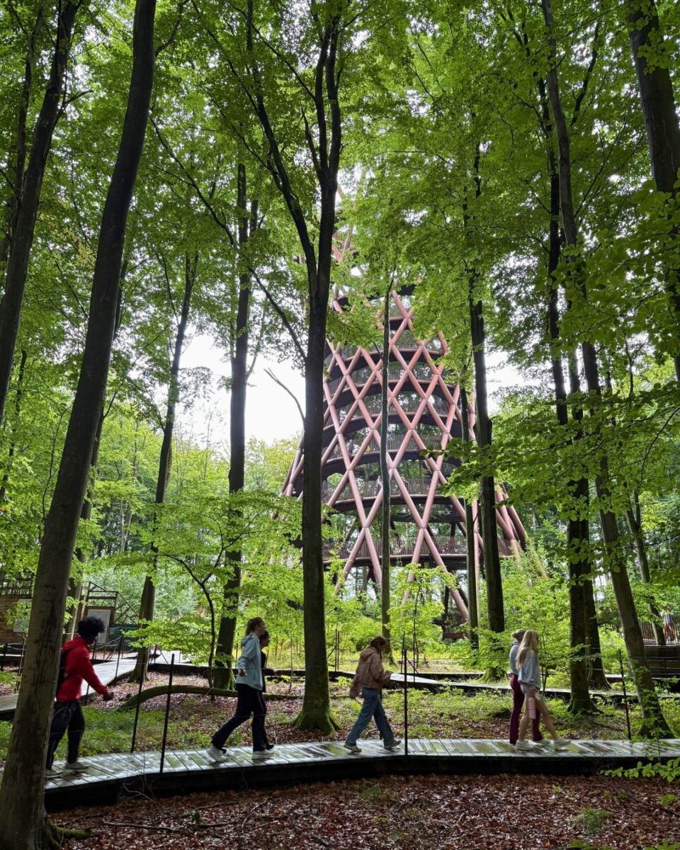 Four people walk along a winding elevated wooden path through a dense green forest with a tall, lattice-structured observation tower in the background.
