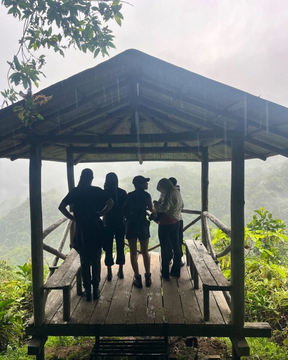 Four people standing under a wooden gazebo overlooking a misty, lush green forest landscape.