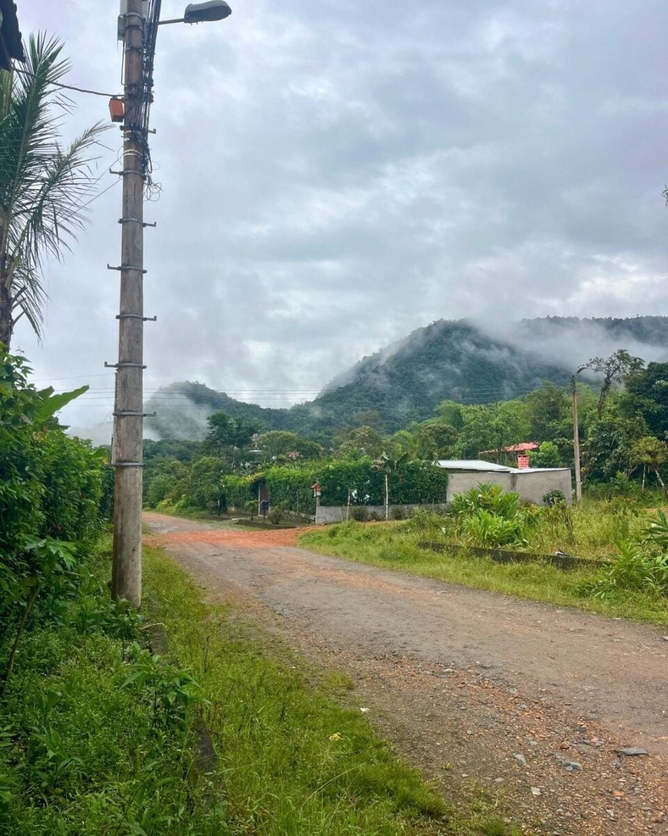 A misty mountain landscape with lush greenery and a dirt road leading past a small house under a cloudy sky.