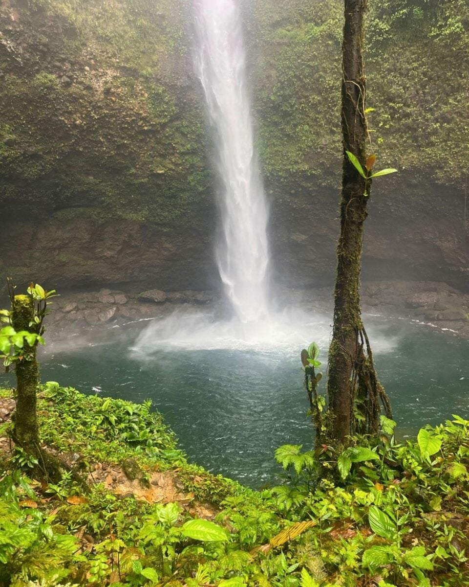 Tall waterfall plunging into a clear blue pool surrounded by lush green foliage and moss-covered rocks.