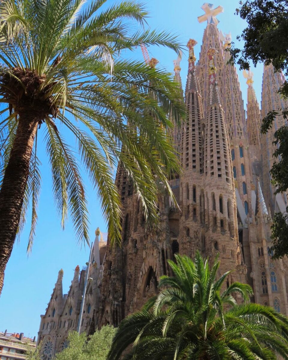 Tall spires of the Sagrada Familia basilica framed by lush palm trees under a clear blue sky in Barcelona.