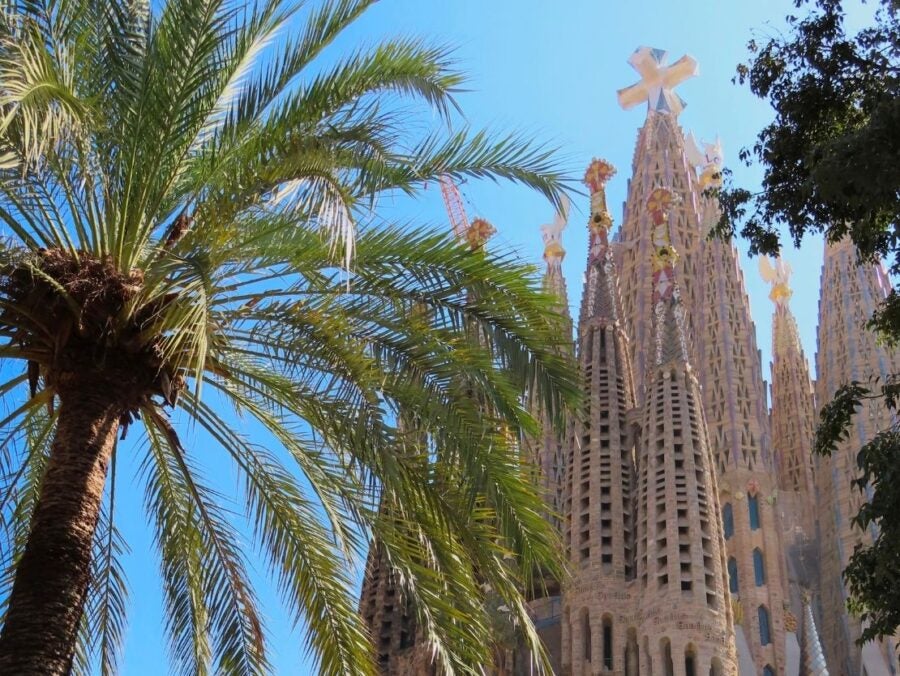 Tall spires of the Sagrada Familia basilica framed by lush palm trees under a clear blue sky in Barcelona.