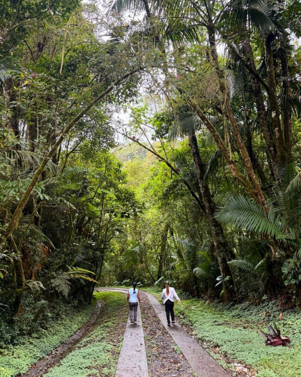 Two people walking along a narrow dirt path surrounded by dense tropical forest greenery.